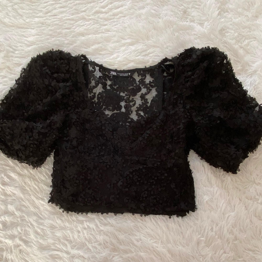 Zara puff sleeve textured tulle top.